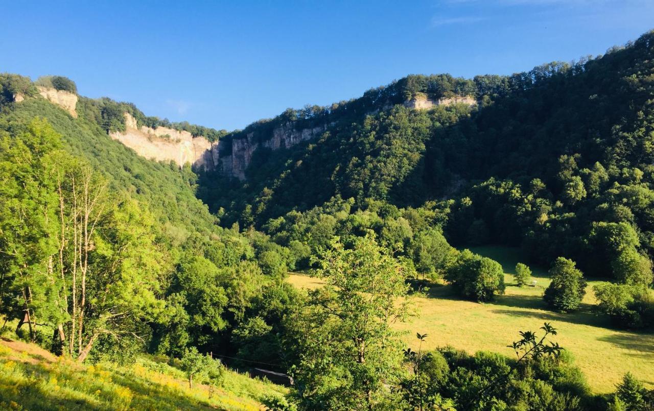 Gite Des Reculees Ladoye-sur-Seille Exterior foto